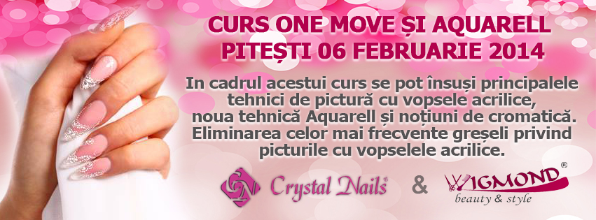 Curs One Move si Aquarell Pitesti 06 februarie 2014