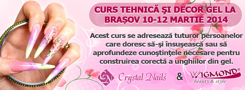 Banner Curs Tehnica si decor Gel Brasov 10-12 MARTIE 2014